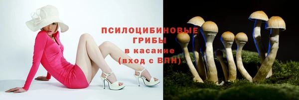 амф Алексин