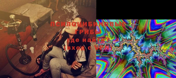 индика Нефтекумск