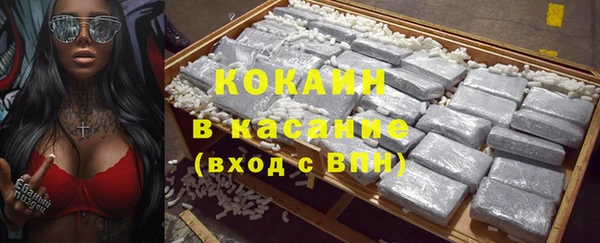 амф Алексин
