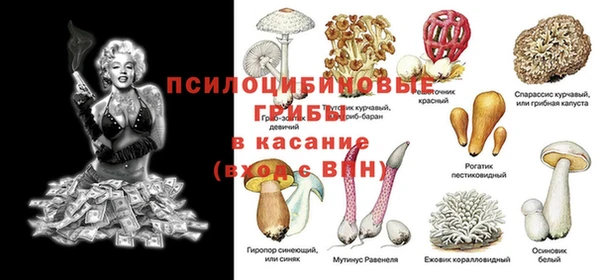 скорость Алзамай
