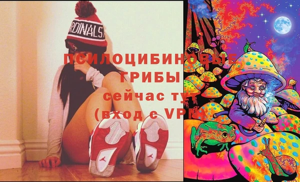 синтетический гашиш Алексеевка