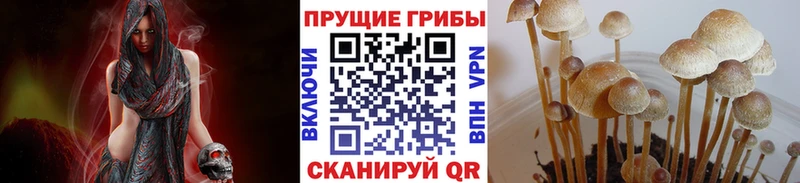 Галлюциногенные грибы прущие грибы  Пугачёв 